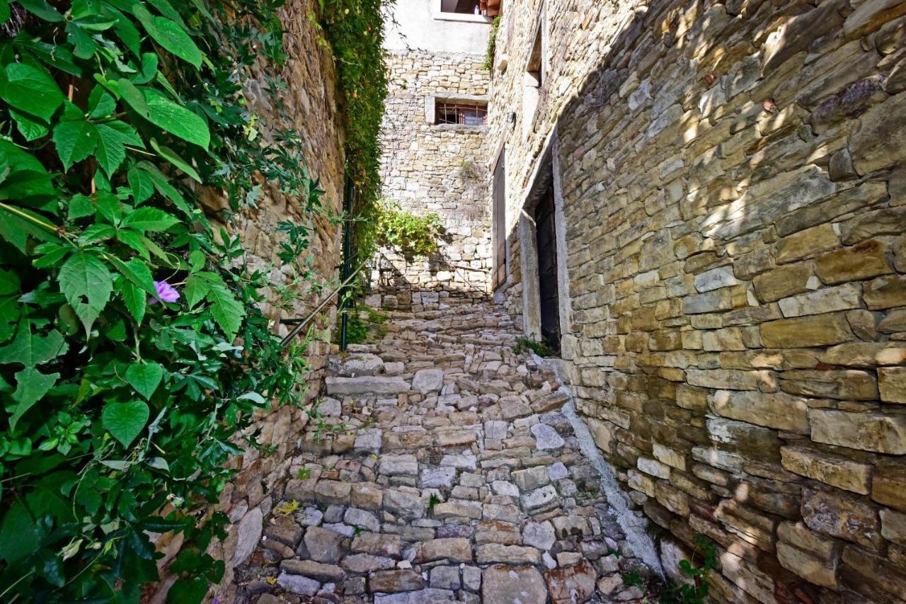 Apartment Fragola