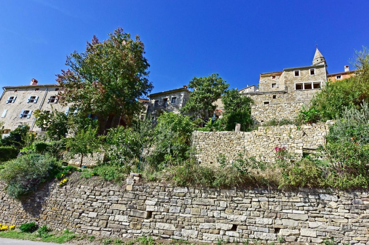 Fragola Motovun