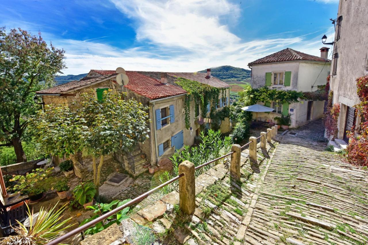 Fragola Motovun