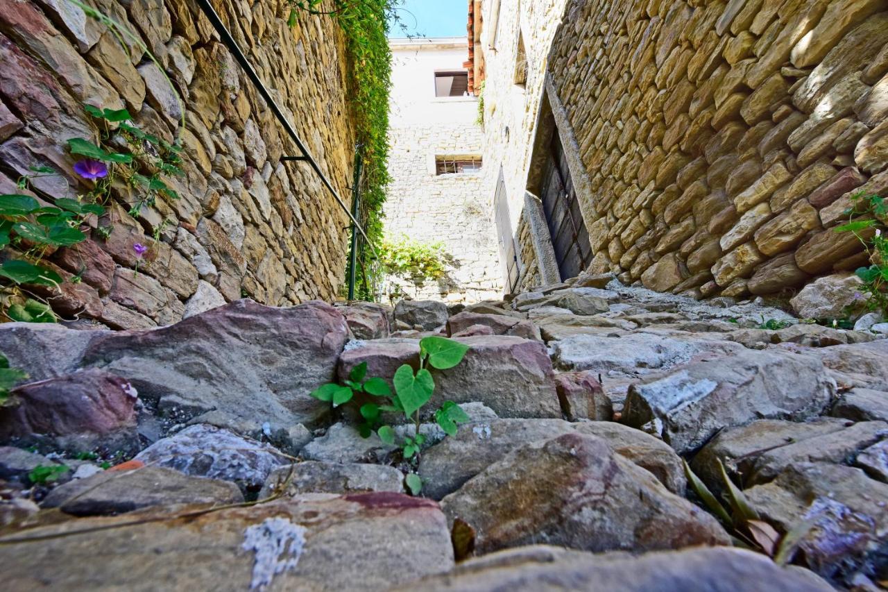 Apartment Fragola *