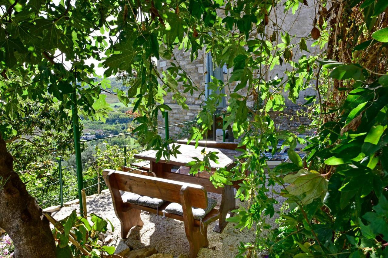 Apartment Fragola *