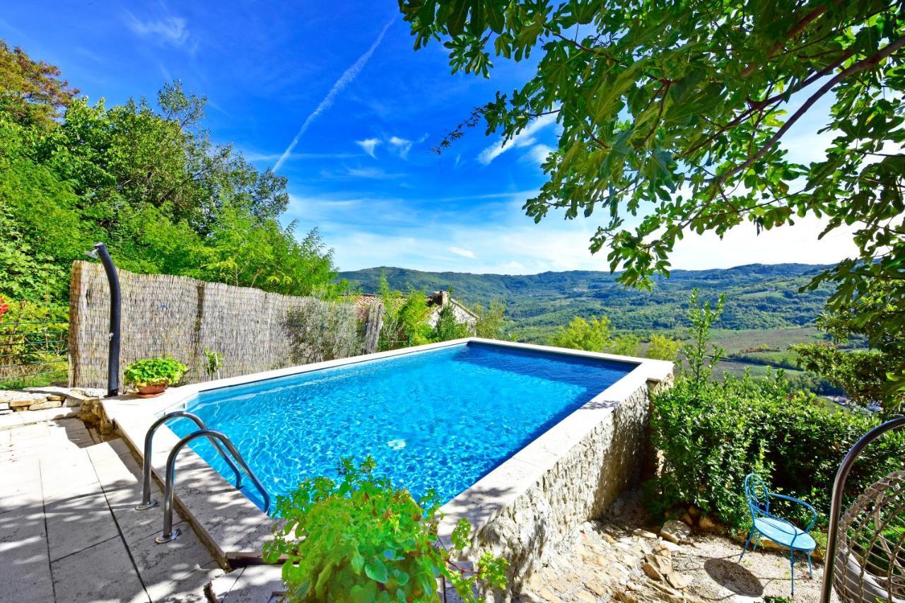 Fragola Motovun