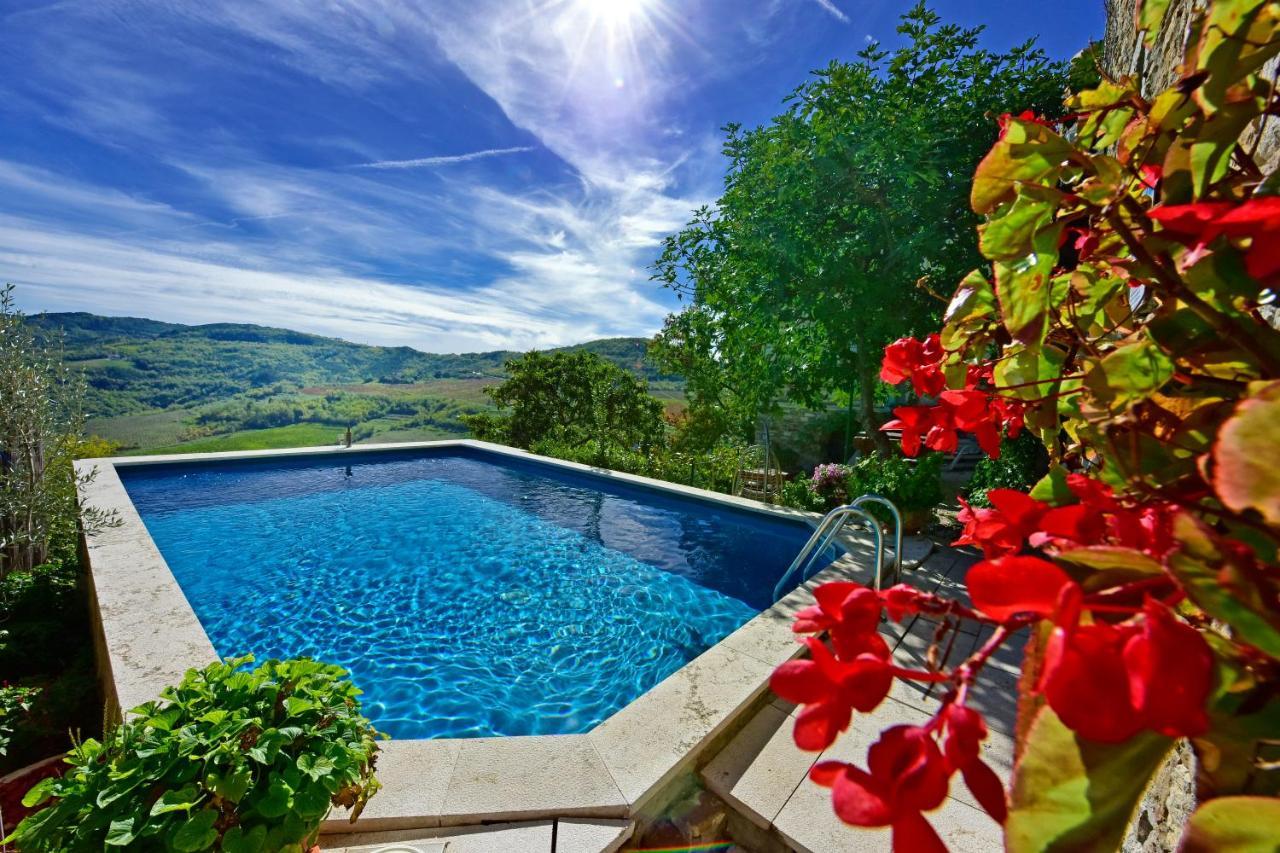 Apartment Fragola *